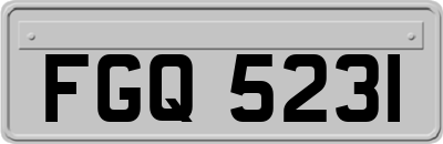 FGQ5231