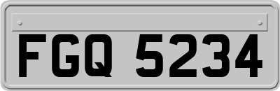 FGQ5234