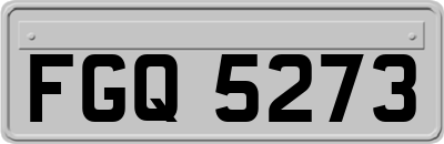 FGQ5273
