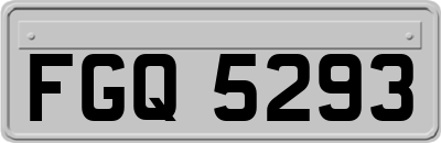 FGQ5293