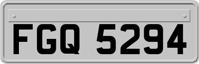 FGQ5294