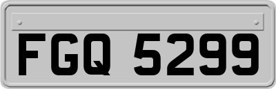 FGQ5299