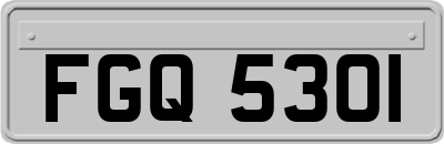 FGQ5301