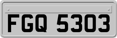 FGQ5303