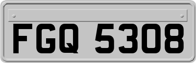 FGQ5308