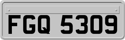 FGQ5309