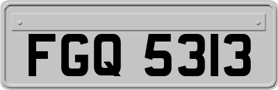 FGQ5313