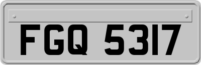 FGQ5317