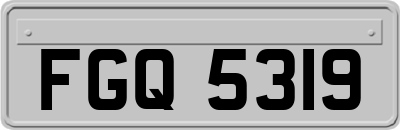 FGQ5319