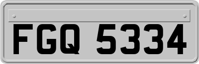 FGQ5334