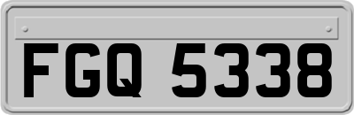 FGQ5338