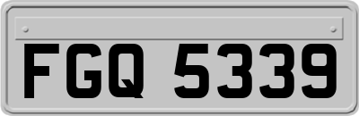 FGQ5339