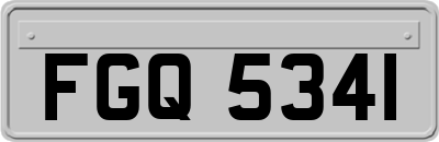 FGQ5341