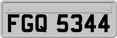 FGQ5344
