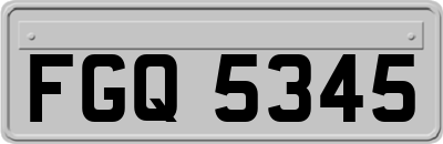 FGQ5345