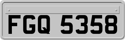 FGQ5358