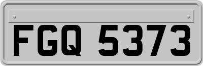 FGQ5373