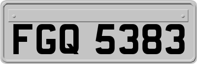 FGQ5383