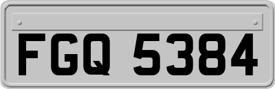 FGQ5384