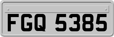 FGQ5385