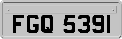 FGQ5391
