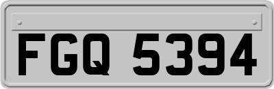 FGQ5394