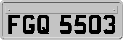 FGQ5503