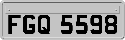 FGQ5598