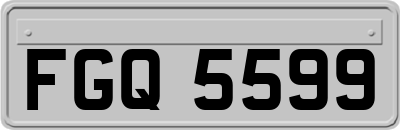FGQ5599