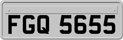 FGQ5655