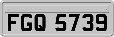 FGQ5739