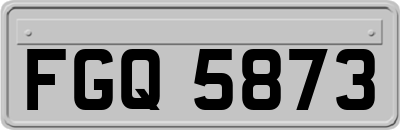 FGQ5873