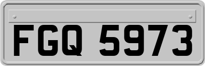 FGQ5973