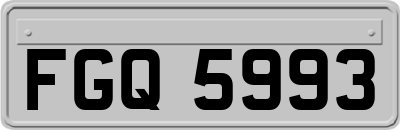 FGQ5993