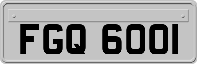 FGQ6001
