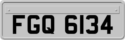 FGQ6134