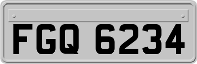 FGQ6234