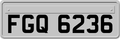 FGQ6236