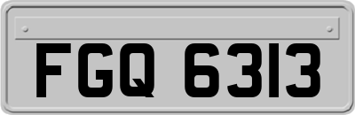 FGQ6313