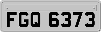 FGQ6373