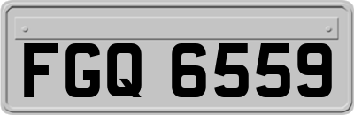 FGQ6559