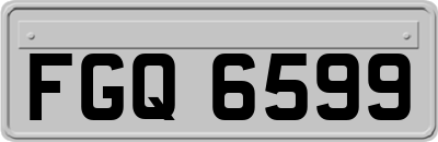 FGQ6599