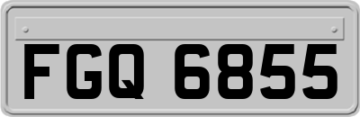 FGQ6855