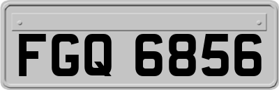 FGQ6856