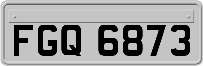 FGQ6873
