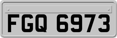 FGQ6973
