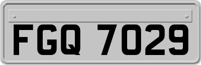 FGQ7029