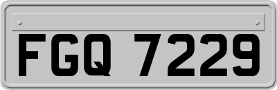 FGQ7229