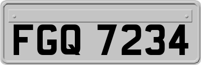 FGQ7234