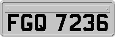 FGQ7236